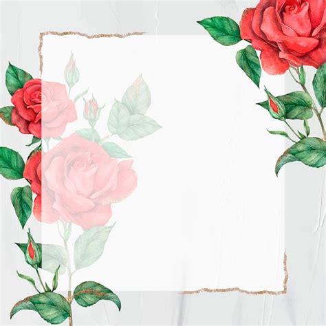 Red rose vector gold border frame | Free Vector
