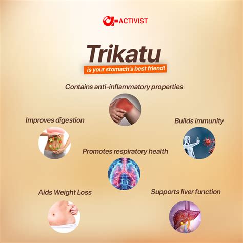 Trikatu Tablets | Ayurvedic Health Supplement | Activist