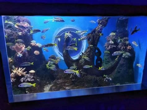长沙海洋馆-亚克力鱼缸定做 - 上海尊海实业