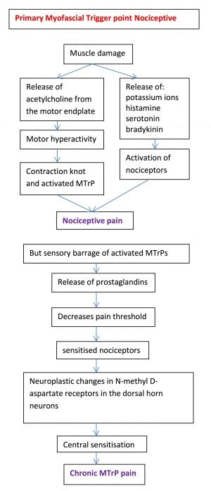 Depth Acupuncture Muscle Pain Deep Pressure Trigger Therapy Massage ...