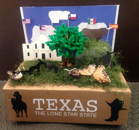 Texas State Project