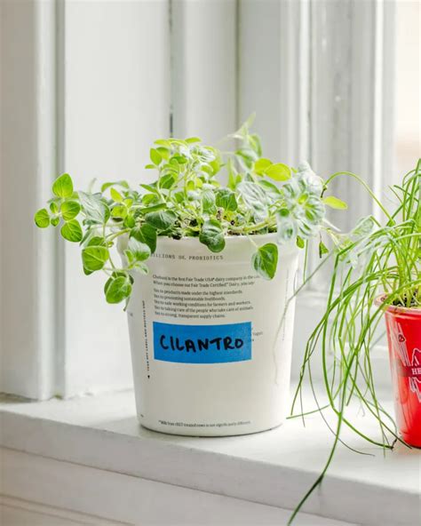 Image result for Reuse Plastic Containers