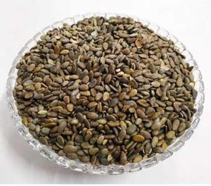 SEVENGRAINS BEEJ INDRAIN, INDRAYAN BEEJ, BEEJ INDRAYAN, TUMBA SEEDS ...