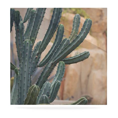 KESS InHouse Ann Barnes Cactus Jungle II Green Beige Photography Luxe ...