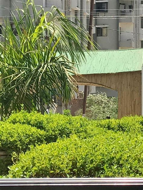 Shabri garden restaurant, Sanand