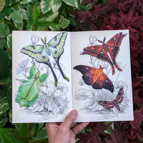 Image result for Specimen Collection