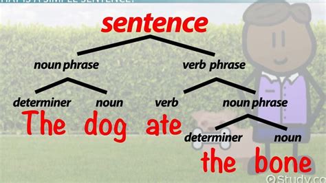 Image result for Frases Con Complemento Directo