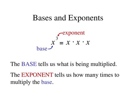 Image result for Integer Exponentbs