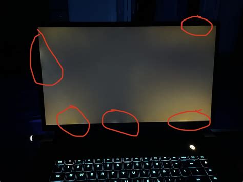 Image result for Alienware X17 Screen Bleed