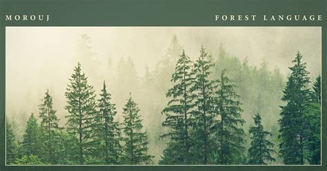 Forrest Language Techniques 的图像结果