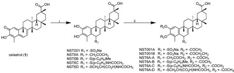 Design, Synthesis and Biological Evaluation of C(6)-Modified Celastrol ...