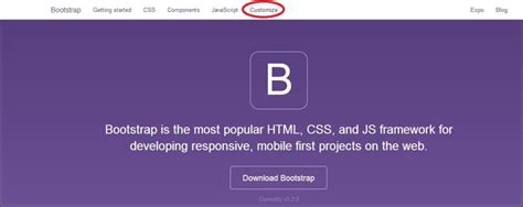 Image result for Bootstrap Customizer
