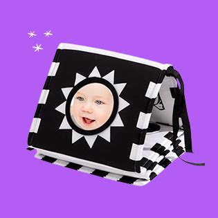 Baby and Toddler Toys