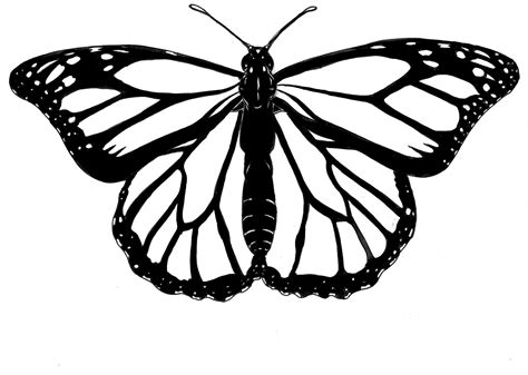 Butterfly Tattoo Outline