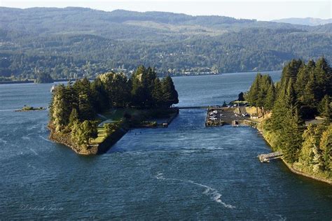 Image result for Zero Waste Japan