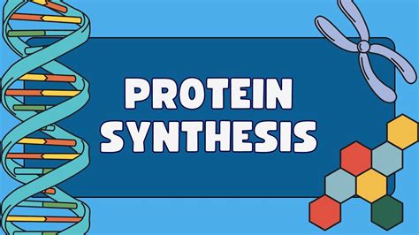 Image result for Transulation Animation