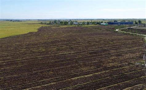 农家肥 的图像结果