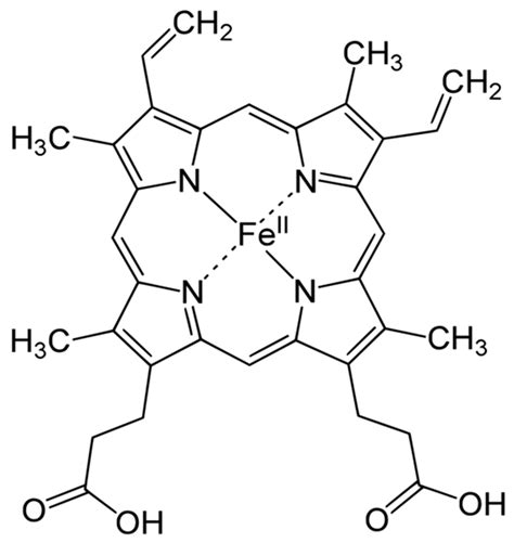 Management of Anaemia of Chronic Disease: Beyond Iron-Only Supplementation