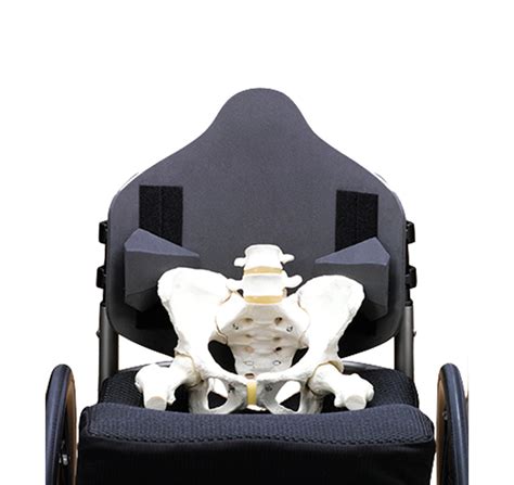 Image result for Java Back Support