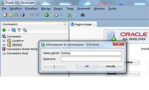 Image result for Oracle SQL Developer Query