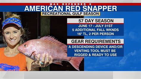 Florida Red Snapper season 2022 opening weekend: Know your limits | WFLA