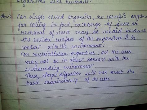 WHY IS DIFFUSION INSUFFICIENT TO MEET THE OXYGEN OR BASIC REQUIREMENTS ...