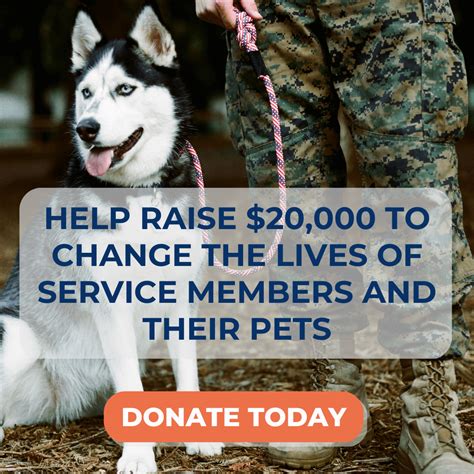Are Military Dogs Neutered