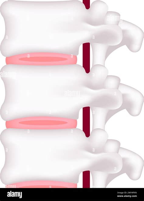 Rezultat imagine pentru Normal Vector