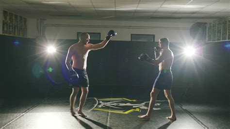 Intense Face Off 的图像结果