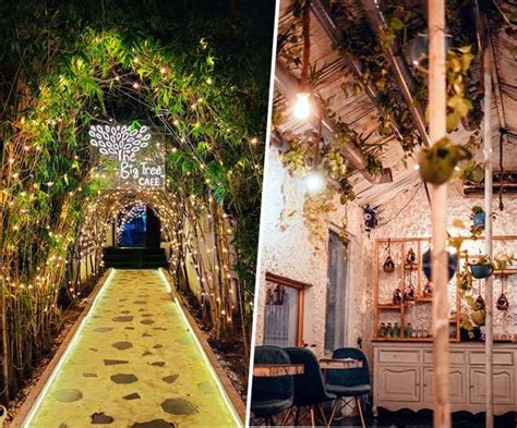 पर्यावरण बचाने के लिए बनाया ‘बिग ट्री’, पार्टी से पहले एक पौधा लगा लिया ...