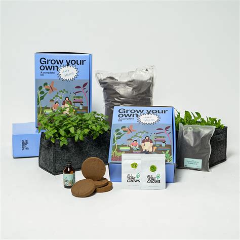 Leafy Greens Growing Kit | All-inclusive growing kit | AllThatGrows