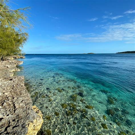 CURRENT CUT Guide (2026) All You Need to Know BEFORE You Go (with Photos)