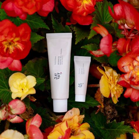 Beauty of Joseon Relief Sun Rice + Probiotics [SPF50+ PA++++] – Befach ...