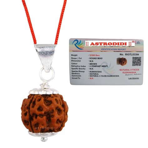 ASTRODIDI 5 Mukhi Rudraksha Original Certified Silver Plated Pendant ...