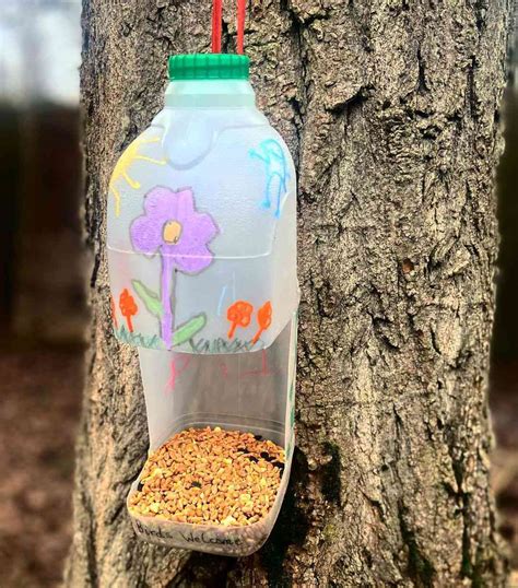 45 DIY Bird Feeder Ideas We Love for a Weekend Project