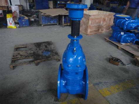China Resilient Seated Gate Valve with Extension Spindle - China Gate ...