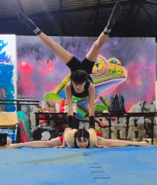 Partner Assisted Contortion 的图像结果