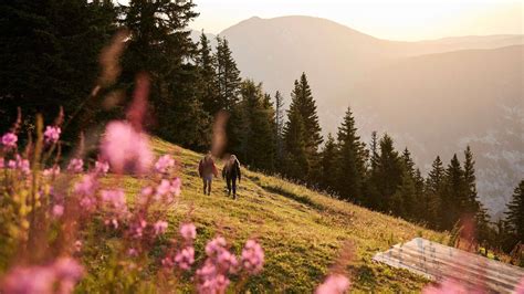 Ausflugsziele in den Wiener Alpen