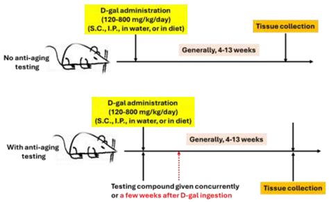 Rodent Models of D-Galactose Induction of Accelerated Aging: A Platform ...