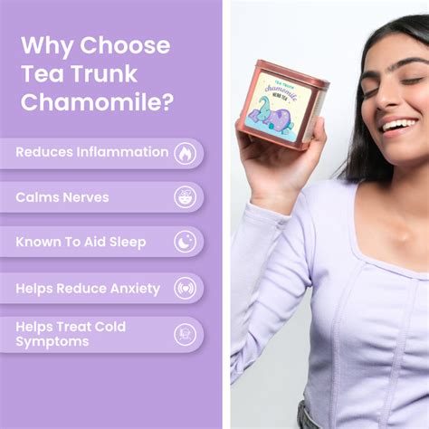 Tea Trunk: Buy Premium Teas and Teaware Online