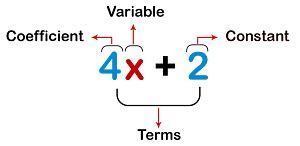 Polynomials Class 10 Notes Maths Chapter 2 Free PDF