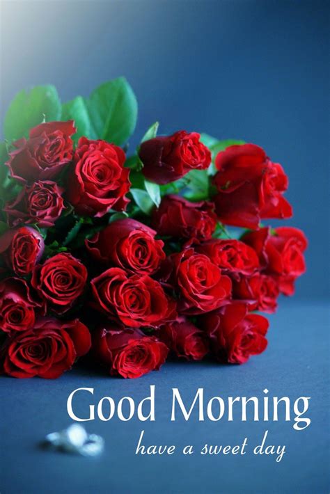 Pink red rose for good morning – Artofit