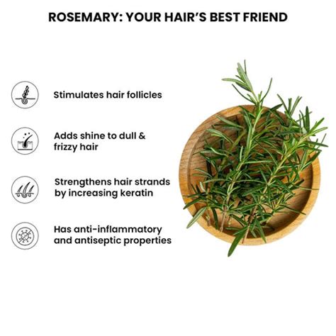 Rosemary Water Hair Spray for Hair Growth with Rice Water | ThriveCo