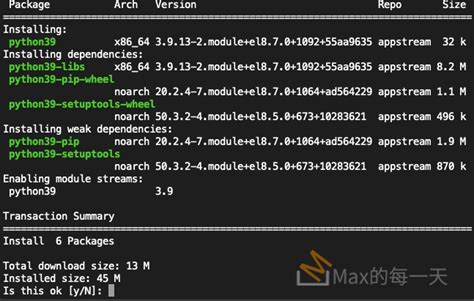 Installing Python 3.9 的图像结果
