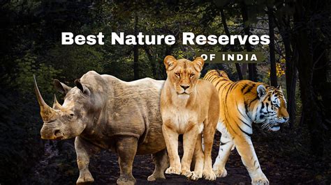 Exploring India's Biodiversity: Best Nature Reserves for Students