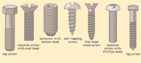 Image result for Machine Screw Types