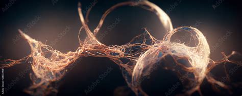 Image result for Vector Entangled Particles