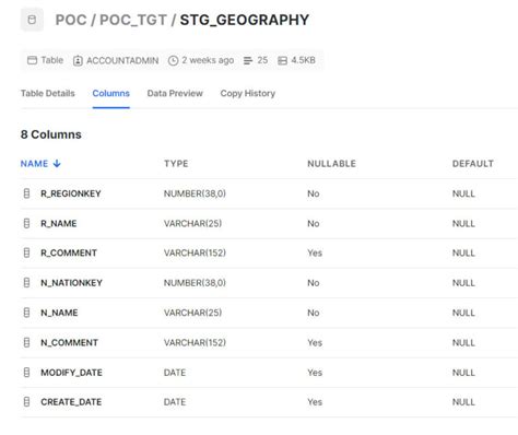Image result for SCD2 Column Values