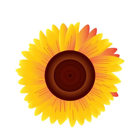 Image result for Spring Clock PNG