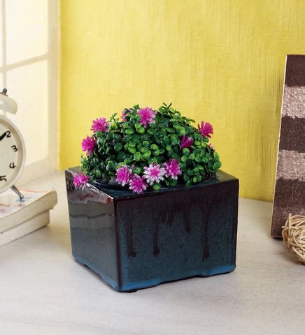 Glazed ceramic table top planter pots – Gaia Pottery In